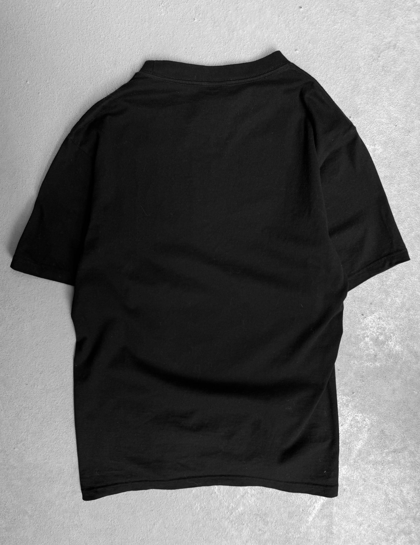 Number (N)ine SS08 “BIRDS” Neil Young Lyrics Graphic T-shirt
