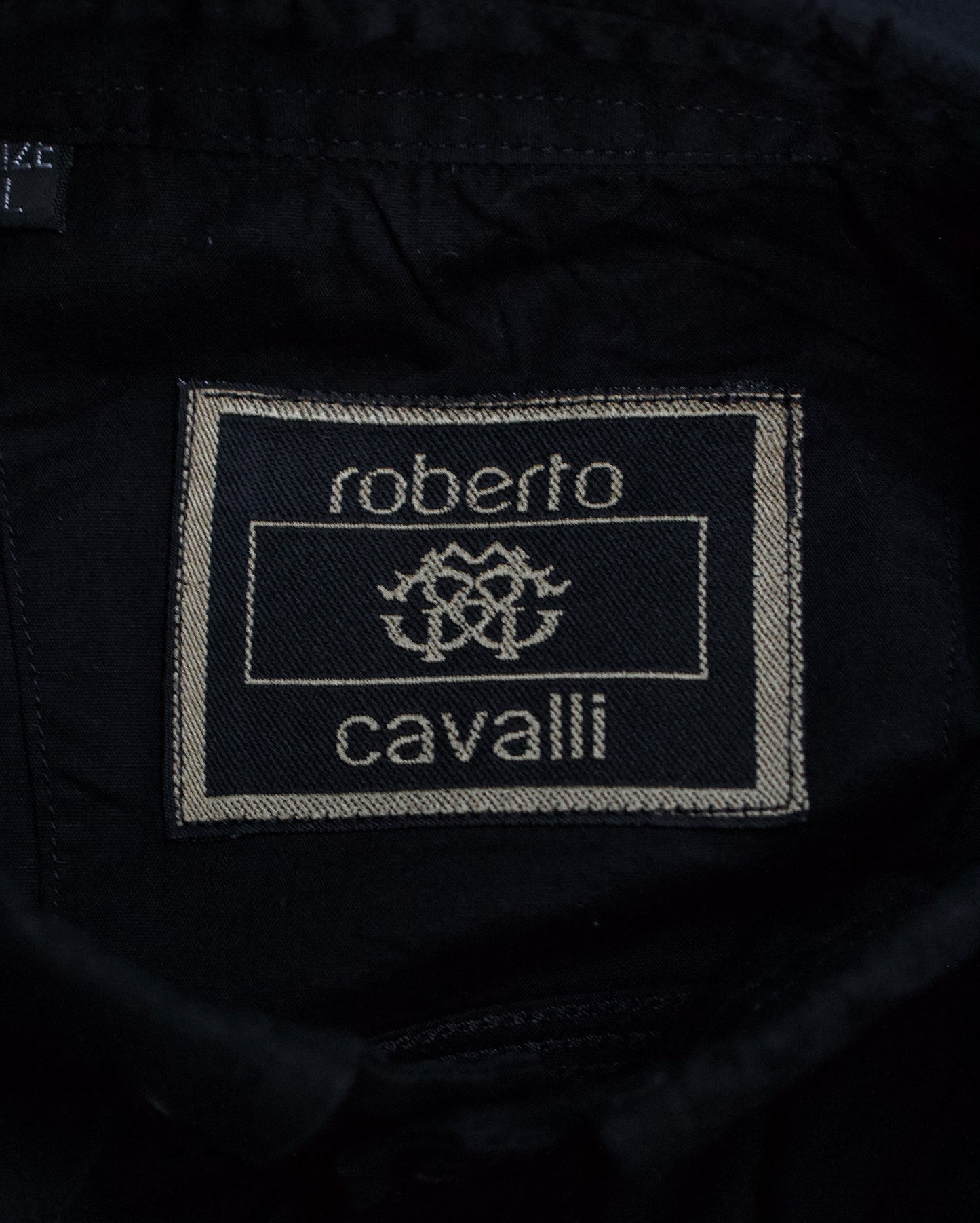 Roberto Cavalli 00s Embroidered Dress Shirt
