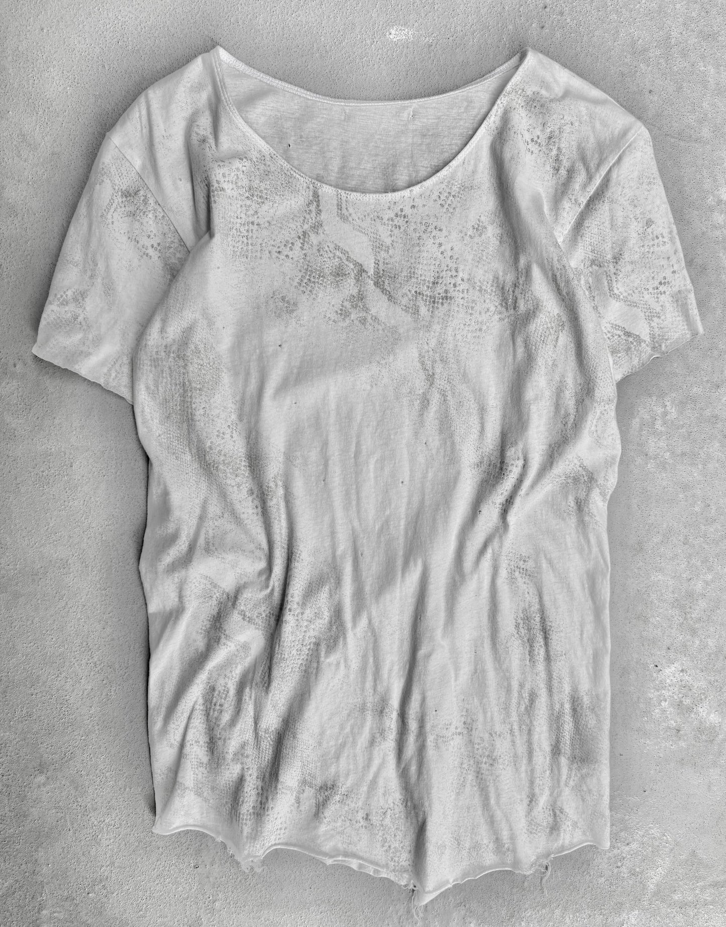 14thAddiction Early 00s Python Printed Raw Cut T-shirt