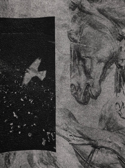 Ann Demeulemeester AW20 Washed Black 'Nature' Print Graphic T-Shirt