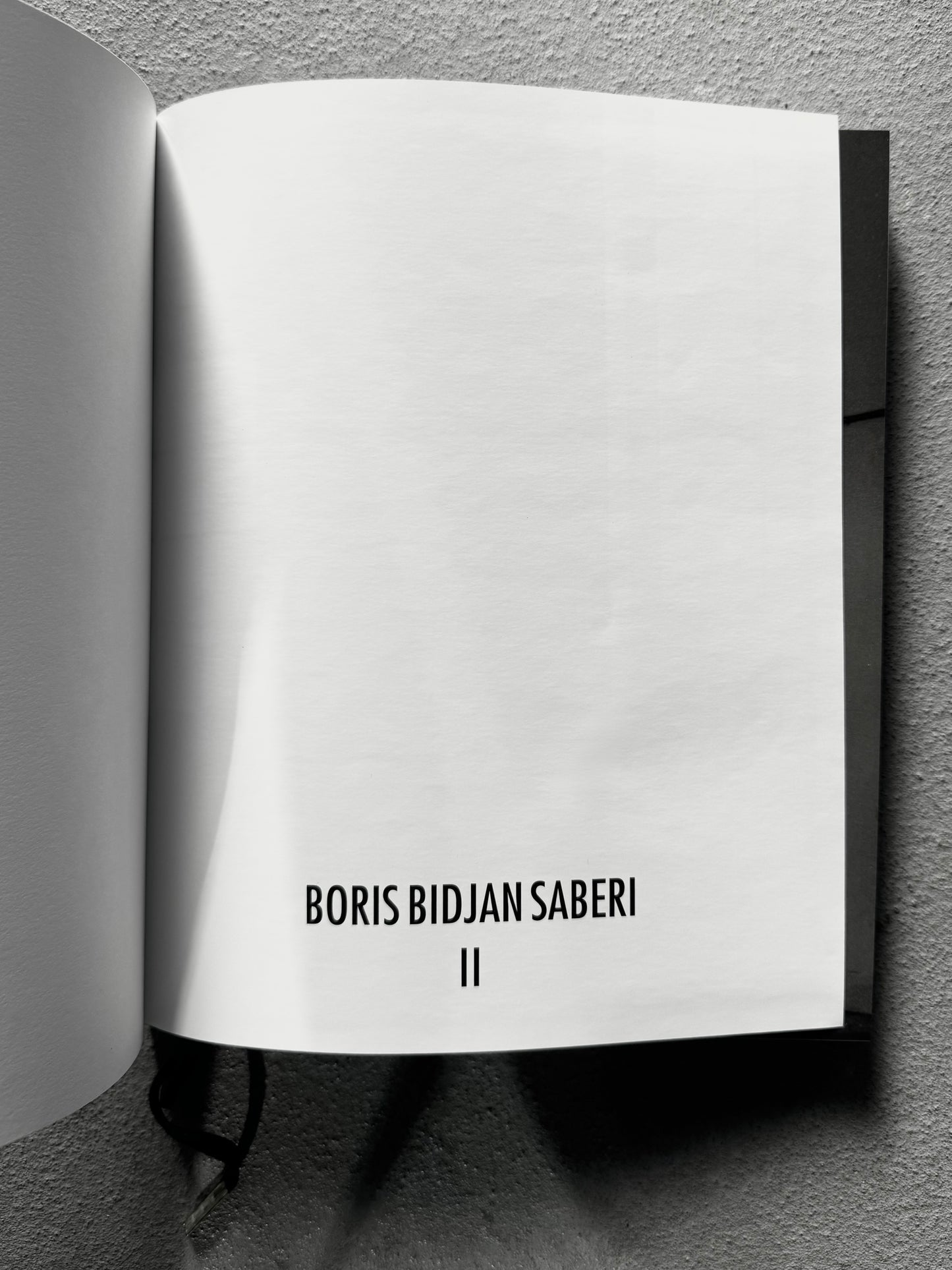 Boris Bidjan Saberi II by Fabriano Fabbri Hardcover Book (2013)