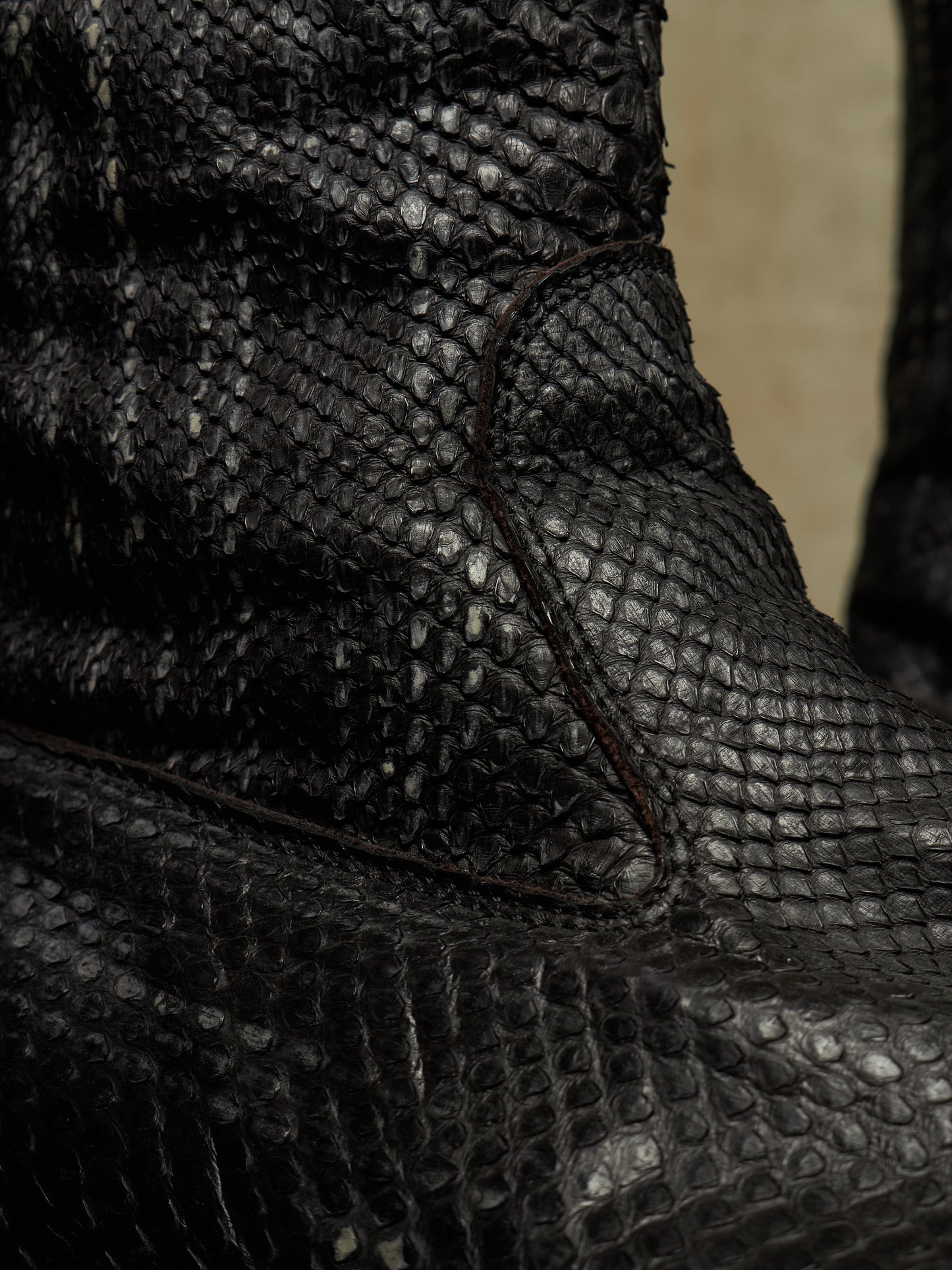 Carpe Diem Ealry 00s Striped Snakeskin Leather Side Zip Boots