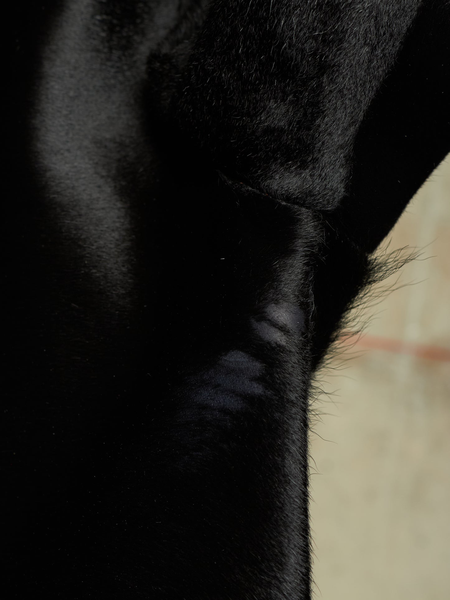 Isamu Katayama "BACKLASH" Early 00s Unlined Black Pony Hair Calf Leather Single Button Shirt