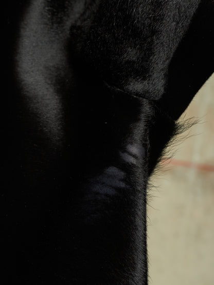 Isamu Katayama "BACKLASH" Early 00s Unlined Black Pony Hair Calf Leather Single Button Shirt