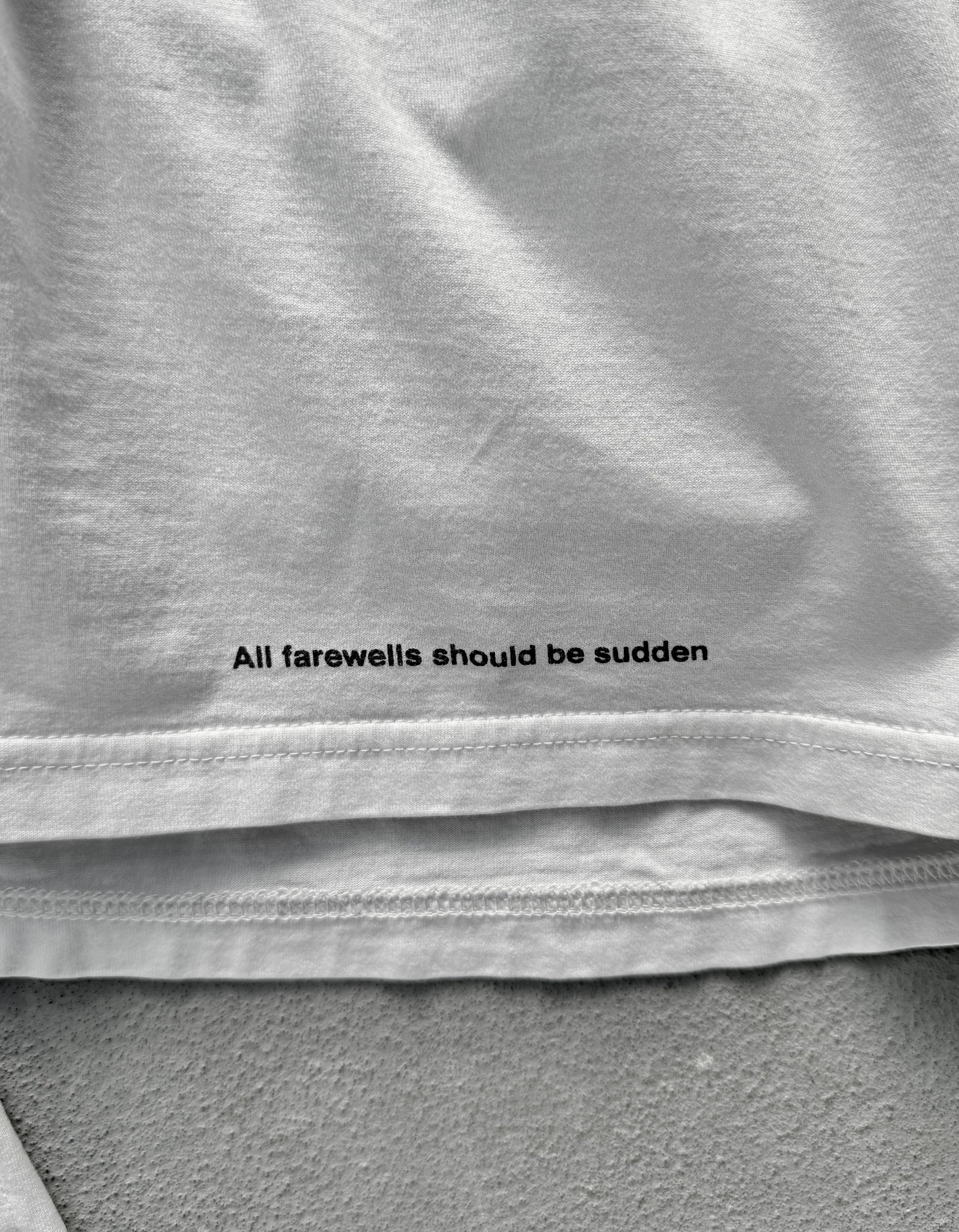 Gray fabric with text 'All farewells should be sudden' printed on it.