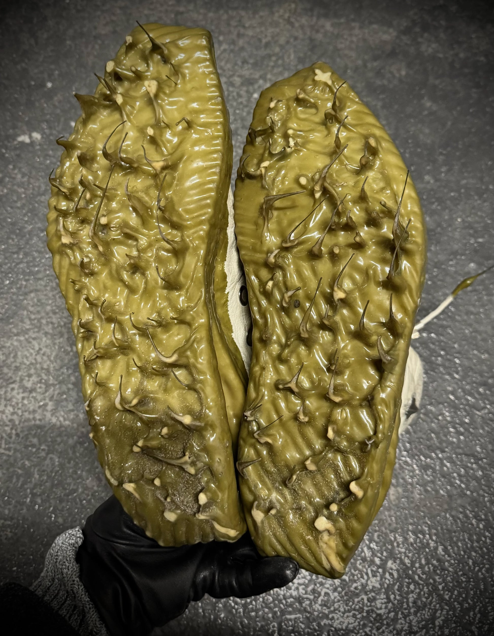 Two halves of a green, textured vegetable held by a gloved hand on a dark background