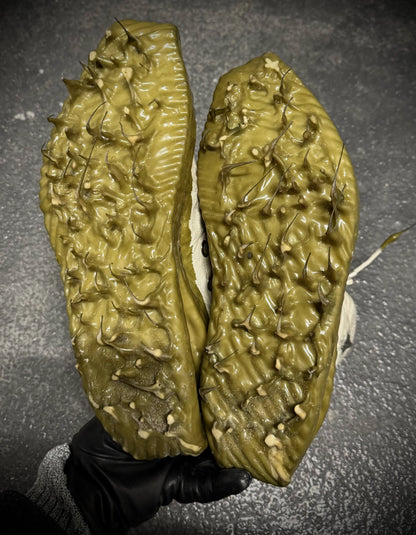 Two halves of a green, textured vegetable held by a gloved hand on a dark background