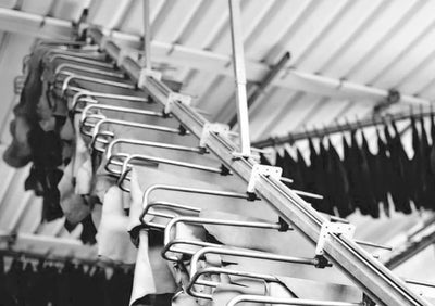 Incarnation tannery facility — leather hides hanging in rows for artisanal production